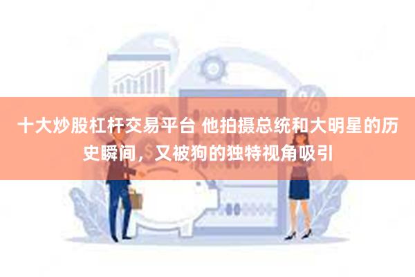 十大炒股杠杆交易平台 他拍摄总统和大明星的历史瞬间，又被狗的独特视角吸引