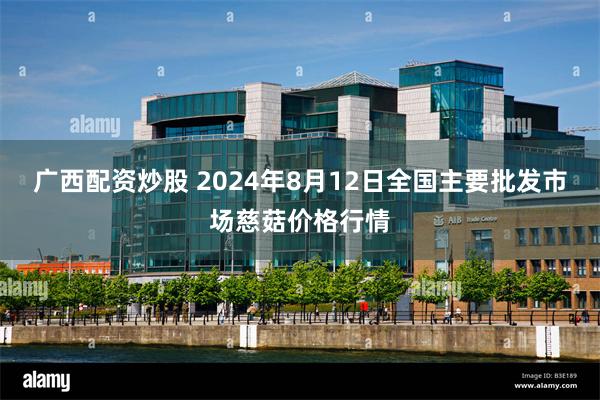 广西配资炒股 2024年8月12日全国主要批发市场慈菇价格行情