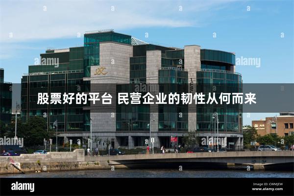 股票好的平台 民营企业的韧性从何而来