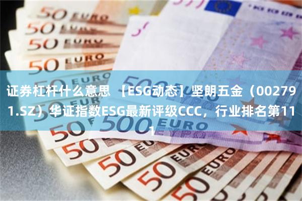 证券杠杆什么意思 【ESG动态】坚朗五金（002791.SZ）华证指数ESG最新评级CCC，行业排名第11