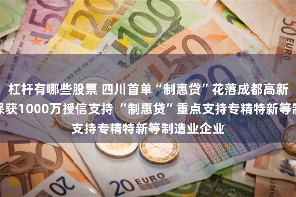 杠杆有哪些股票 四川首单“制惠贷”花落成都高新区锐思环保获1000万授信支持 “制惠贷”重点支持专精特新等制造业企业