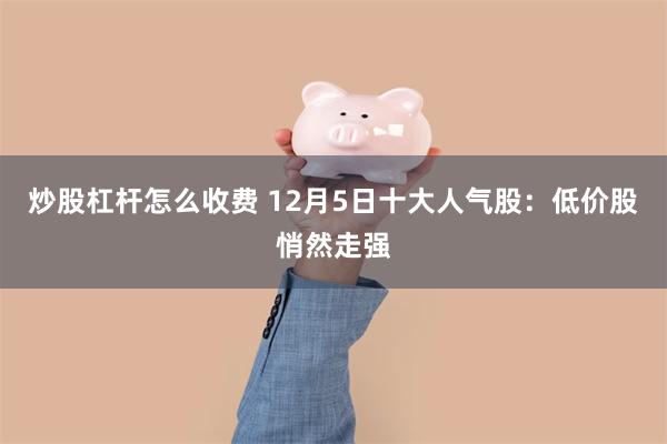 炒股杠杆怎么收费 12月5日十大人气股：低价股悄然走强