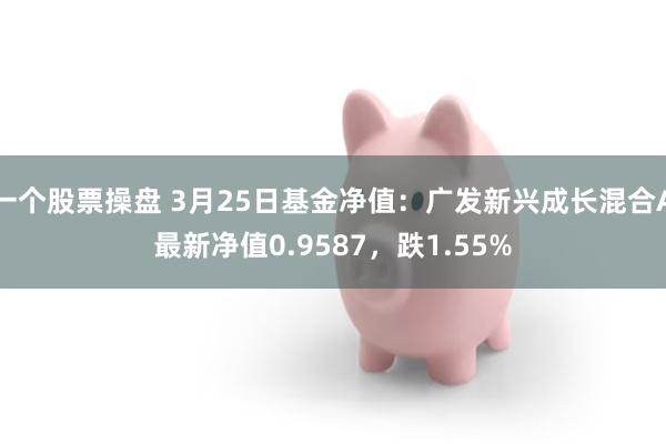 一个股票操盘 3月25日基金净值：广发新兴成长混合A最新净值0.9587，跌1.55%