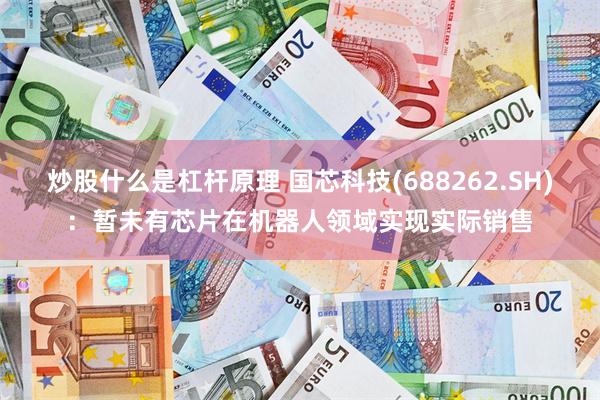 炒股什么是杠杆原理 国芯科技(688262.SH)：暂未有芯片在机器人领域实现实际销售
