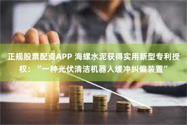 正规股票配资APP 海螺水泥获得实用新型专利授权：“一种光伏清洁机器人缓冲纠偏装置”