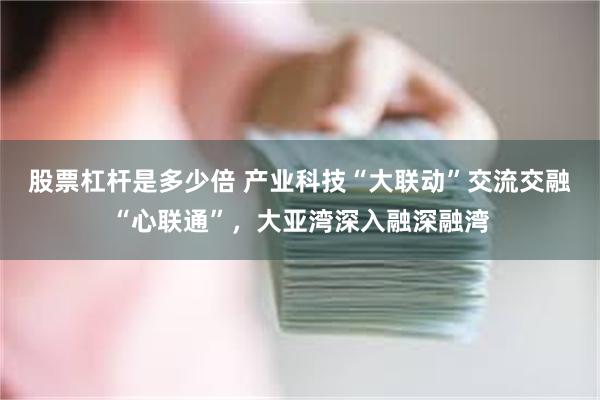 股票杠杆是多少倍 产业科技“大联动”交流交融“心联通”，大亚湾深入融深融湾
