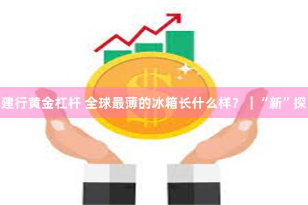 建行黄金杠杆 全球最薄的冰箱长什么样？｜“新”探
